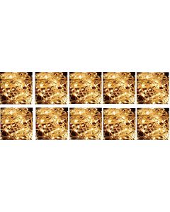 5Mtr Rice Set OF 10 LED RICE string strip Yellow Pack of 10 decoration lights 5 METRE LONG - Diwali / Festival / Wedding / Gifting / Xmax / New Year 