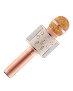 Wireless Bluetooth Microphone for Karaoke with Inbuilt Speaker with Audio Recording
