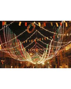 Virat Rice Pixel 10 Ft 5 Meter Minimum Set of 10 Lights Serial 16 Bulbs (Ladi) Decoration Lighting for Diwali Christmas