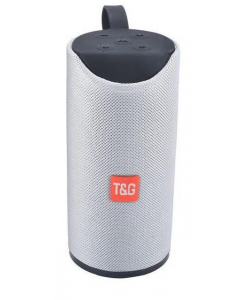 T&G High Bass Sound Waterproof Portable Bluetooth Speakers TG-113 
